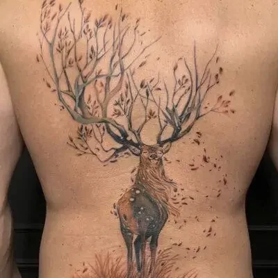 Tatuador en Madrid José Prieto Tattoo Cover Animal Color Espalda